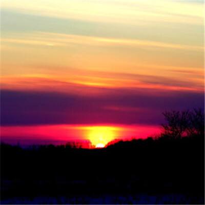 2023年香港资料精准手机app下载